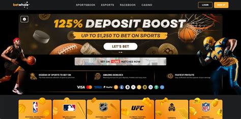 betonline alternatives|Best BetOnline Alternatives 2023 .